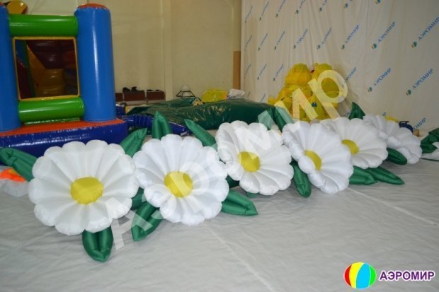 Ромашка Ромашка