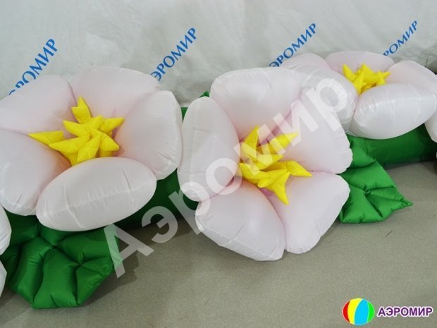 Яблоня Яблоня