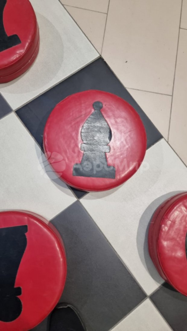 Гигантские шашки Гигантские шашки