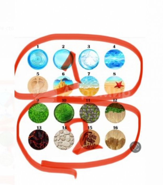 Кочки Кочки