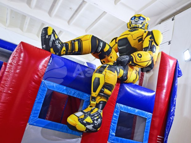 Батут надувной БС-234 Батут надувной БС-234