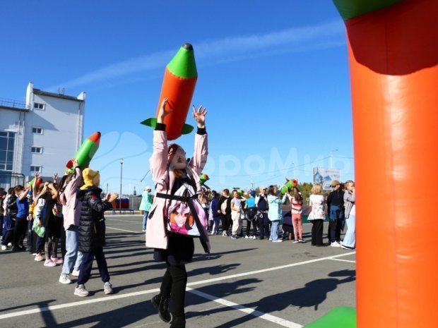 Бомбардир Бомбардир