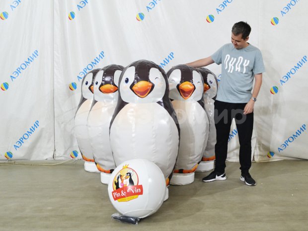 Большие кегли с мячом Большие кегли с мячом