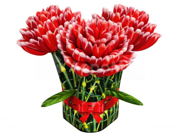 Букет из Гвоздик Букет из Гвоздик
