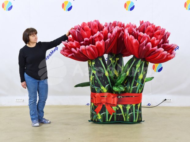 Букет из Гвоздик Букет из Гвоздик
