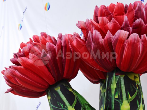 Букет из Гвоздик Букет из Гвоздик