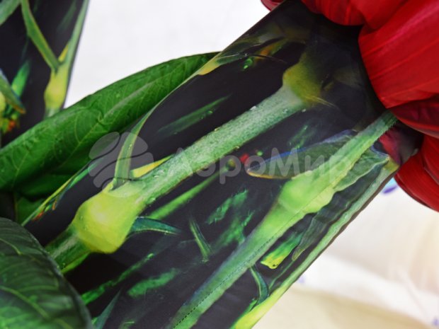 Букет из Гвоздик Букет из Гвоздик