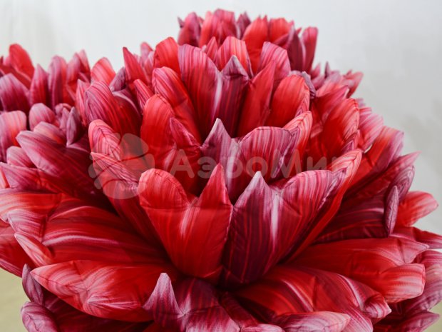 Букет из Гвоздик Букет из Гвоздик