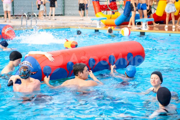 Торпеда-акула Торпеда-акула