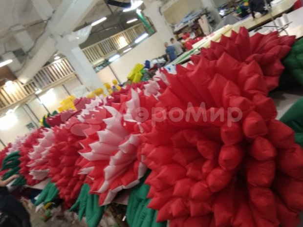 Гвоздика Гвоздика