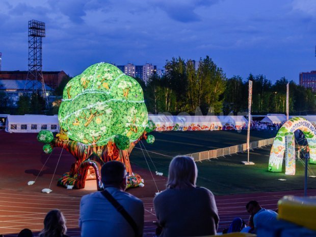 Чудо-дерево Чудо-дерево