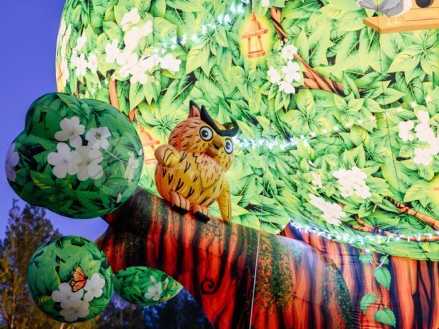 Чудо-дерево Чудо-дерево