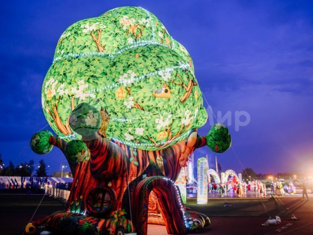 Чудо-дерево Чудо-дерево