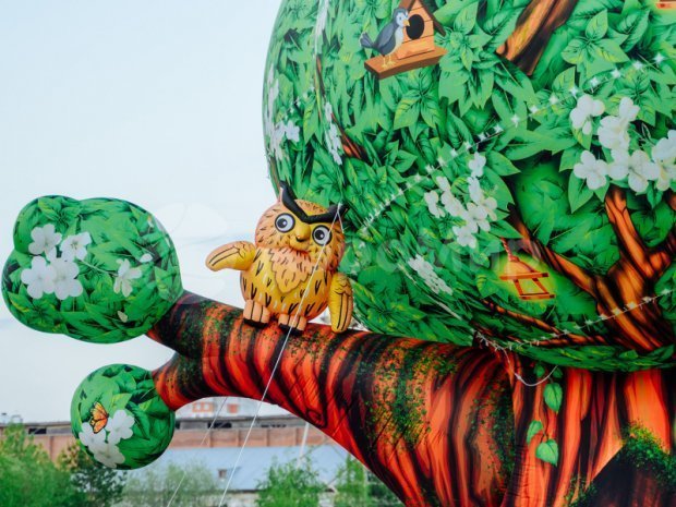 Чудо-дерево Чудо-дерево