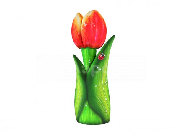 Тюльпан  Тюльпан