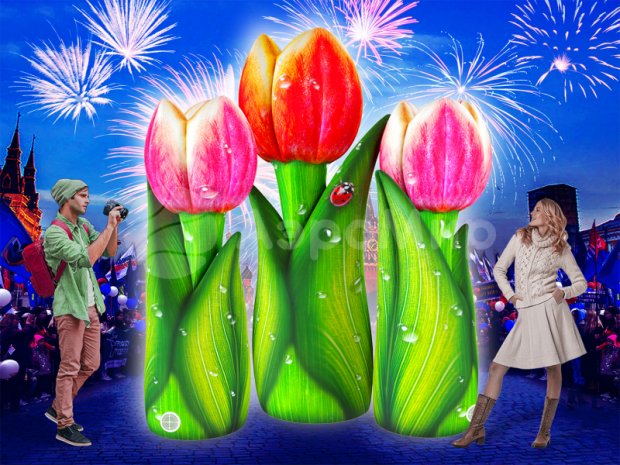 Тюльпан  Тюльпан