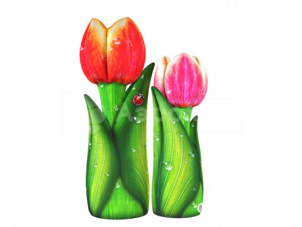 Тюльпан  Тюльпан