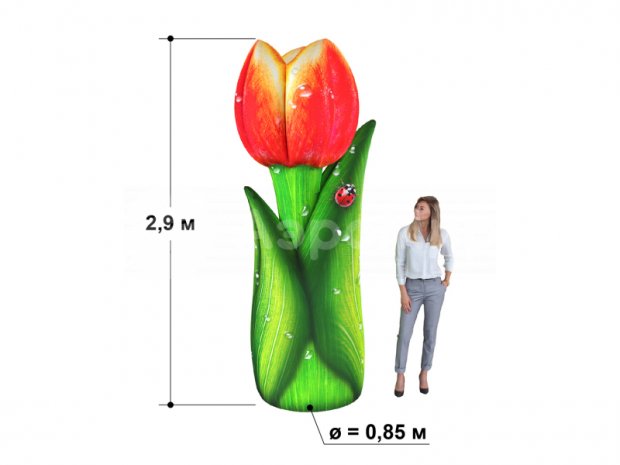 Тюльпан  Тюльпан