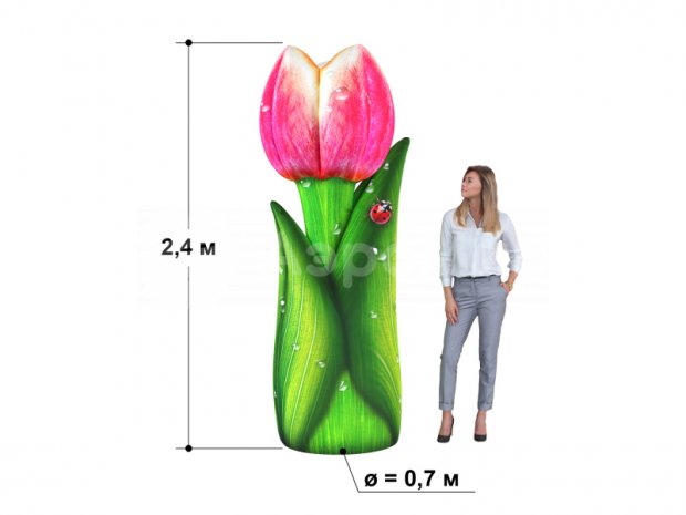 Тюльпан  Тюльпан