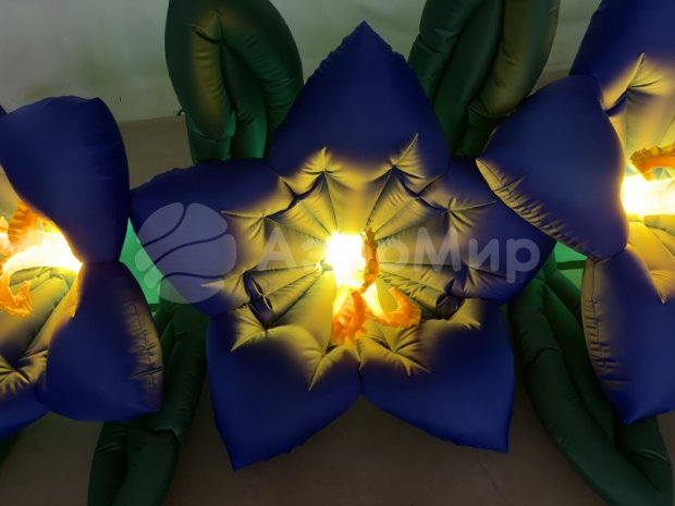 Колокольчик Колокольчик