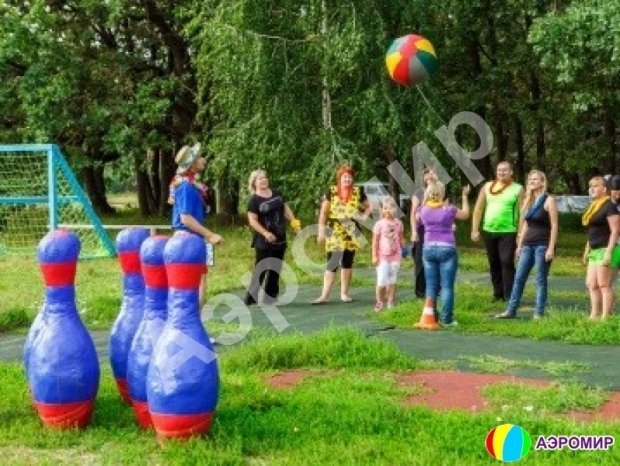 Надувные кегли с мячом Надувные кегли с мячом