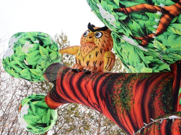 Чудо-дерево Чудо-дерево