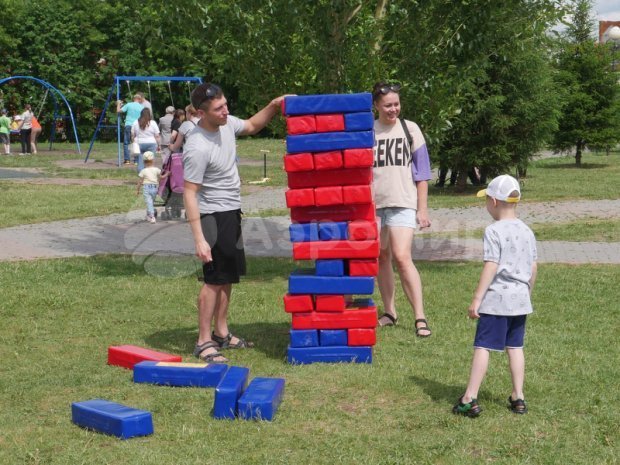 Гигантская дженга Гигантская дженга