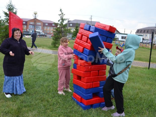 Гигантская дженга Гигантская дженга