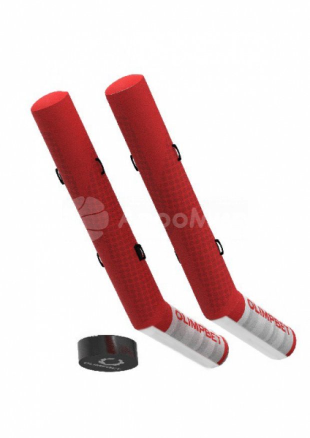 Гигантский хоккей Гигантский хоккей