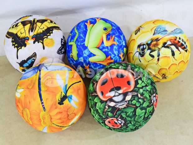 Мяч с чехлом Мяч с чехлом