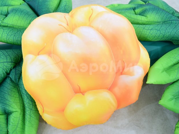 Морошка Морошка