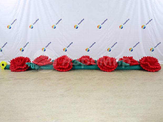 Гвоздика Гвоздика