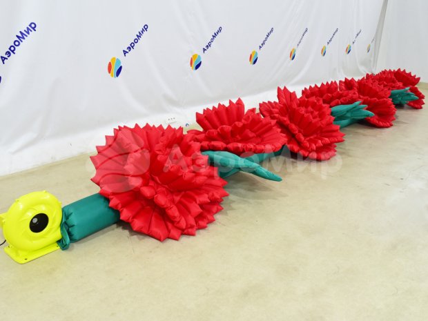 Гвоздика Гвоздика