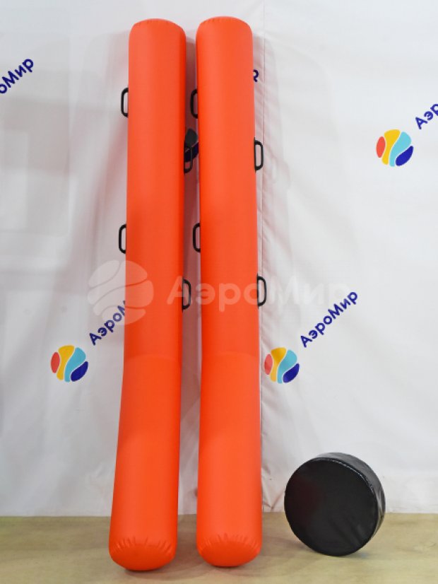 Гигантский хоккей Гигантский хоккей