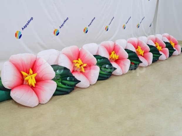 Яблоня Яблоня