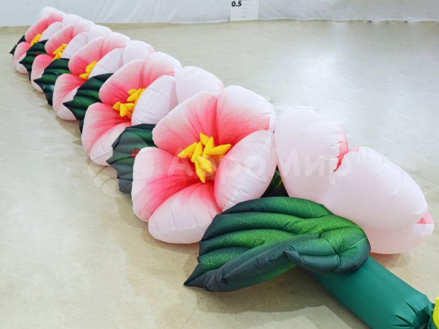 Яблоня с раскрытием Яблоня с раскрытием