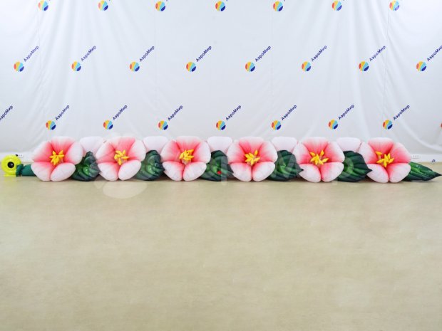 Яблоня Яблоня