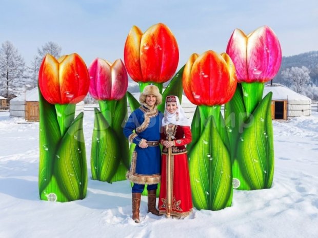 Тюльпан Тюльпан