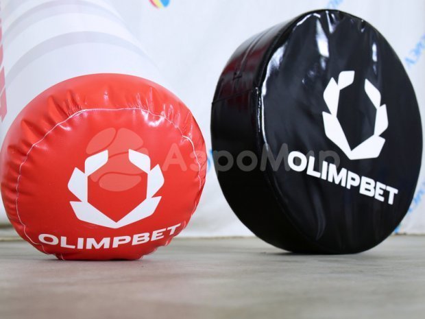 Гигантский хоккей Гигантский хоккей