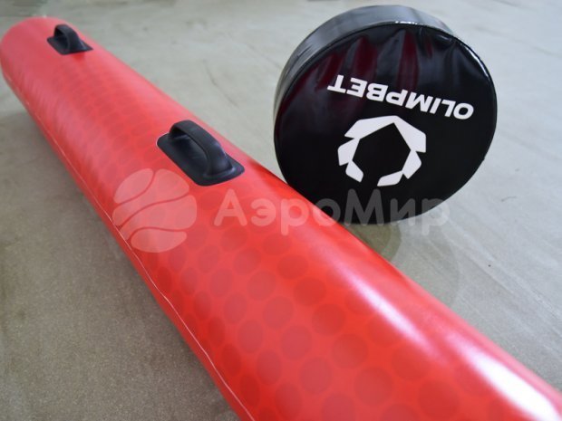 Гигантский хоккей Гигантский хоккей