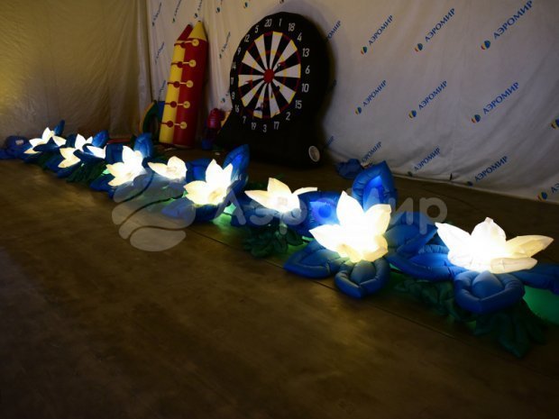 Незабудка Незабудка