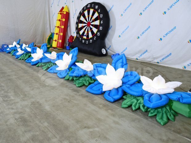 Незабудка Незабудка