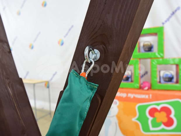 Гигантская Рогатка Гигантская Рогатка