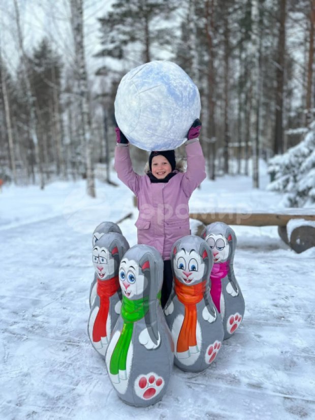 Мягкие кегли с мячом Мягкие кегли с мячом