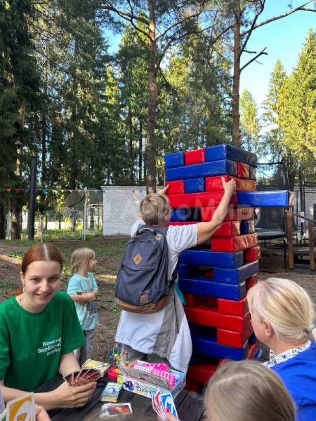 Гигантская дженга Гигантская дженга