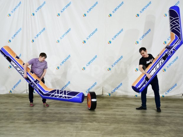 Гигантский хоккей Гигантский хоккей