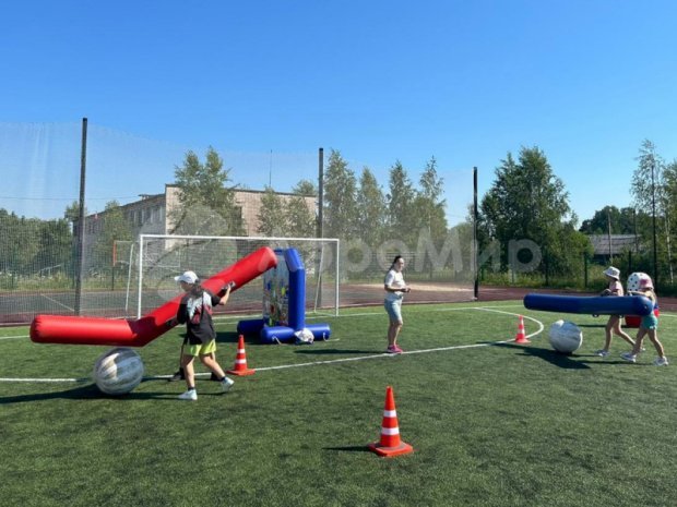 Гигантский хоккей Гигантский хоккей