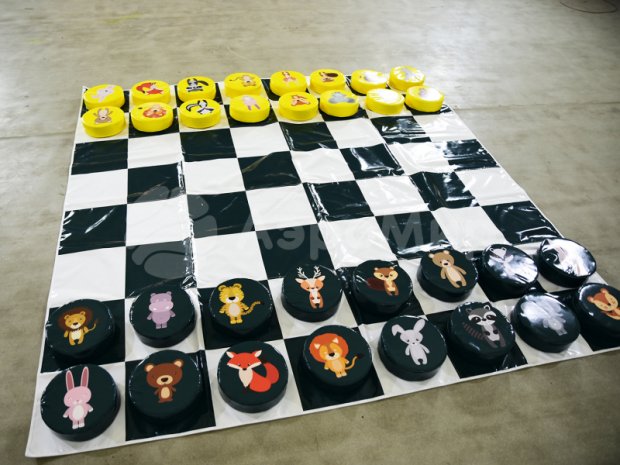 Гигантские шашки Гигантские шашки