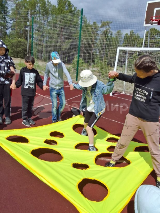 Гигантский сыр Гигантский сыр