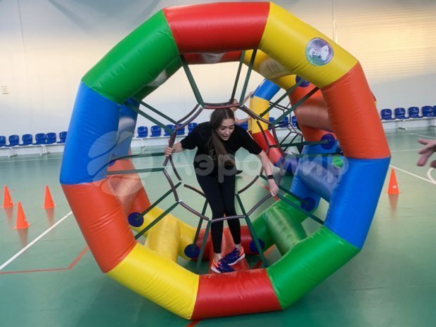 Беличье колесо Беличье колесо